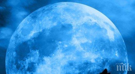 луната полудя открийте влог давайте кръв пийте сухо вино омачкайте чаршафите пука