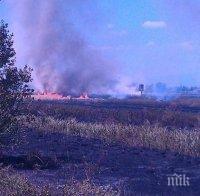 Огромен пожар бушува и край Дебелт