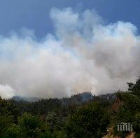 ИЗВЪНРЕДНО! Роми дървосекачи виновни за огнения ад в Ардинско, евакуираха махала Родопско!