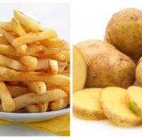 Църквата забранява и пържените картофи