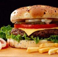 Месец на junk foods - най-обичаните храни