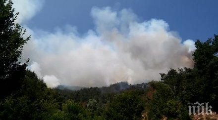 извънредно роми дървосекачи виновни огнения ардинско евакуираха махала родопско