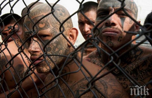 Властите в Салвадор вдигнаха мерника на мафиотите от „Мара Салватруча“