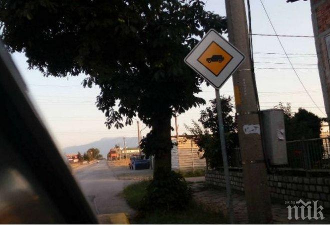 MADE IN BG: Има село, където джиповете са с предимство!