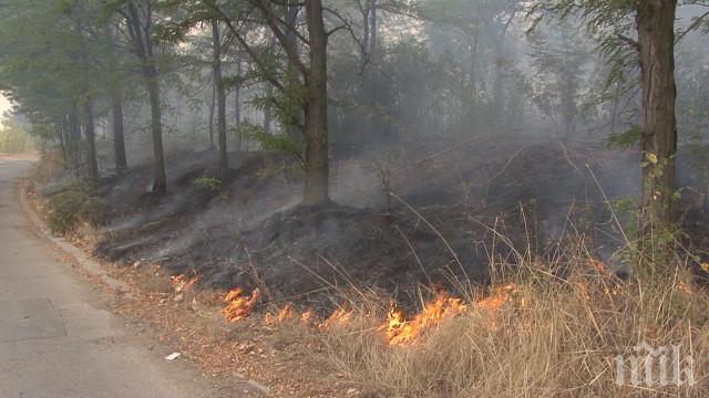 50 военни гасиха пожара в община Ардино