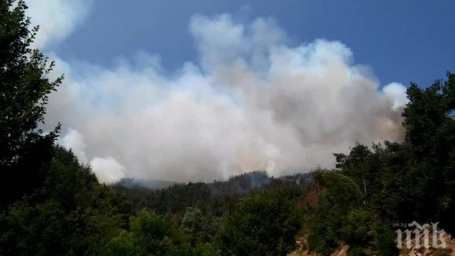 ИЗВЪНРЕДНО! Роми дървосекачи виновни за огнения ад в Ардинско, евакуираха махала Родопско!