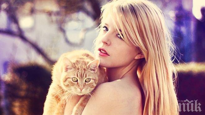 Стяга ви сърцето? Вземете си котка