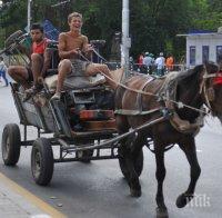 Прибират коня при нарушение на забраната за каруци в София