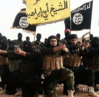 „Ислямска държава“ издаде призив за „свещена война“ срещу Русия
