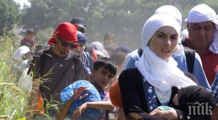 сърбия похвалиха затапихме границата българия дни върнахме 700 мигранти