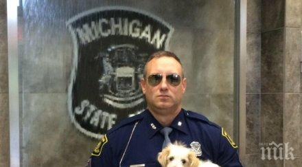 палавникът лапи подкара кола мичиган снимки