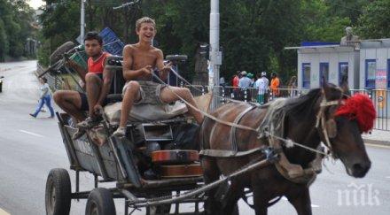 прибират коня нарушение забраната каруци софия