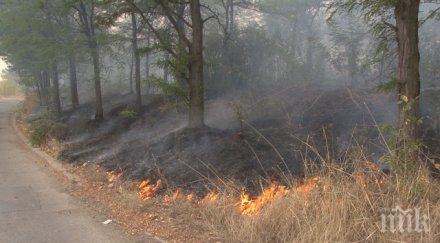 локализиран пожарът рогачево огнени огнища