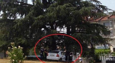 жегата ченгета дежурят дебела сянка снимка