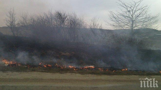 Кошмарно зловоние! Пожарът над Бучино обгазява Благоевград 