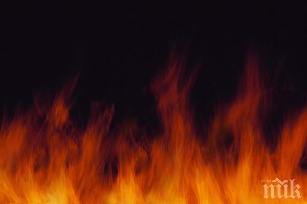 Огнен ад в Рилци! Деца пищят, 120 са евакуирани заради пожара, а една къща е изгоряла