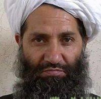 Ключов талибански главатар е убит в Афганистан