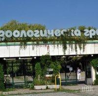 Над четвърт милион лева отиват за ремонт на входа на Зоологическата градина в София