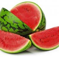 Днес е световният ден на динята - за едни е плод, за други - зеленчук, а за трети - афродизиак