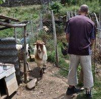 Британци водят „мечтания живот“ в най-бедната страна-членка на ЕС