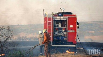 пожарите изпепеляват млн годишно