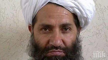 ключов талибански главатар убит афганистан