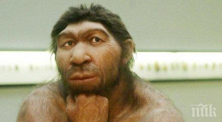 нова теория разкрива човекът надви маймуната