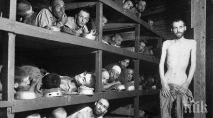 осъдиха туристи вандализъм освиенцим