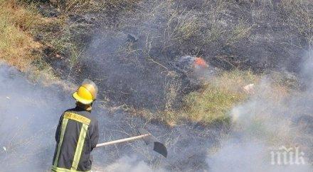 бедствено положение горят 300 дка гора село черна могила