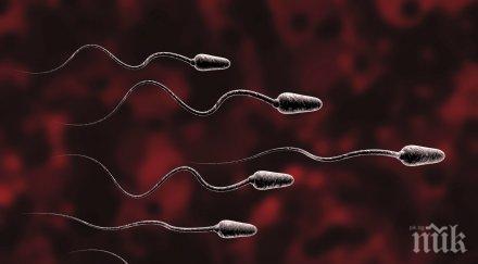 уникално проучване спермата вади жените депресията