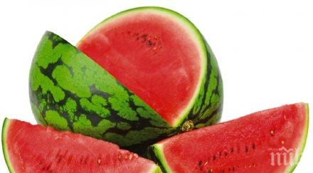 световният ден динята едни плод зеленчук трети афродизиак