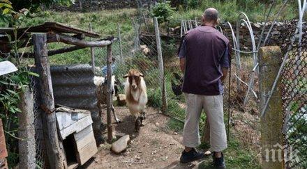британци водят мечтания живот бедната страна членка