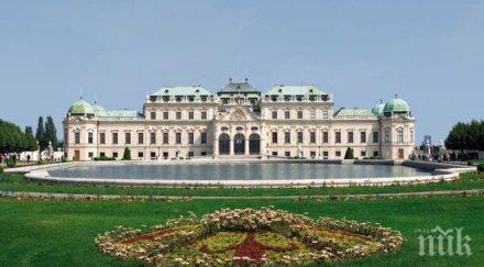 сменят директора музея белведере виена