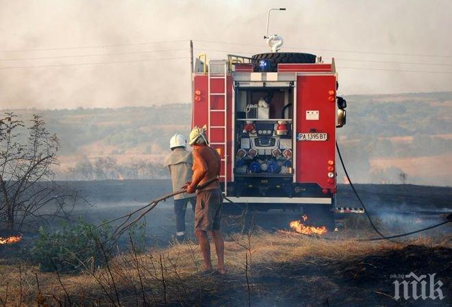 Пожарите изпепеляват по 20 млн. лв. годишно