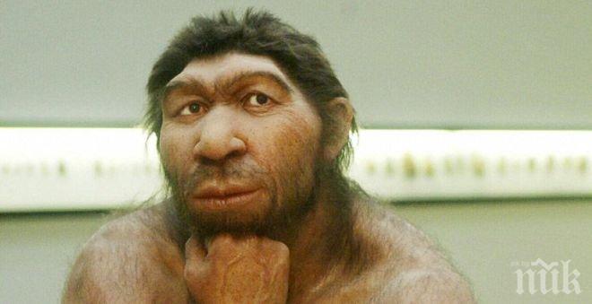 Нова теория разкрива защо човекът надви маймуната! 