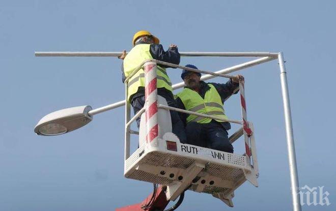 Софиянци се жалят от гъсеници и изгорели лампи