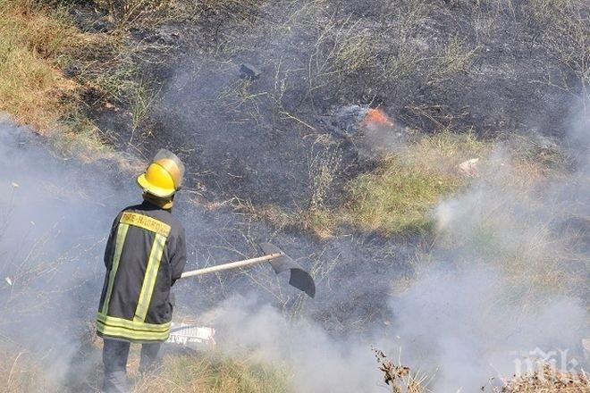 Бедствено положение: Горят 300 дка гора над село Черна могила 