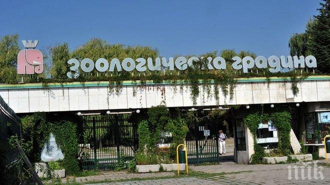 Над четвърт милион лева отиват за ремонт на входа на Зоологическата градина в София