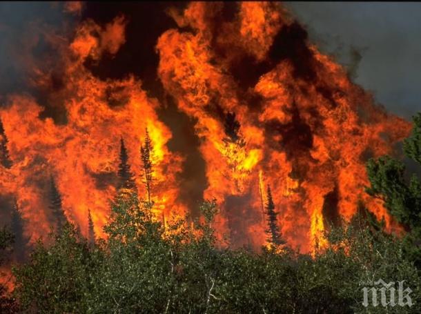 Големият пожар край хасковското село Радовец се разви на два фронта 