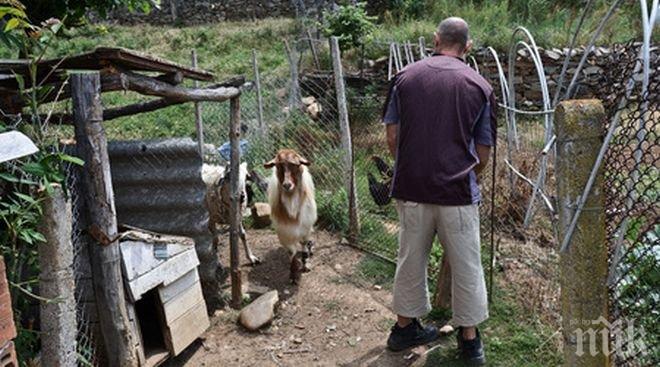 Британци водят „мечтания живот“ в най-бедната страна-членка на ЕС