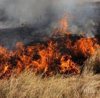 Треви горят край АМ 