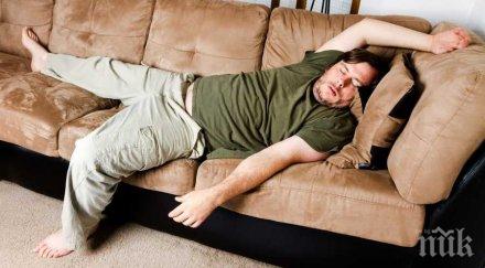 еврика мързелът признак интелигентност