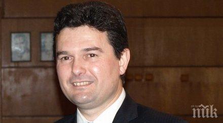 зеленогорски размечта повече сиво вещество политиката