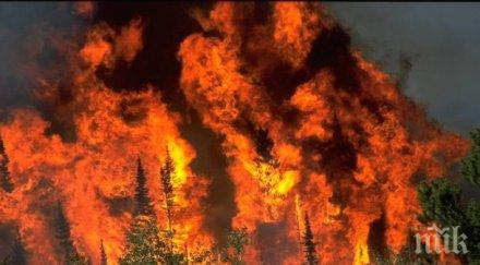 код червено половин българия опасност пожари