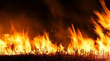 свещите тортата причинили пожара руан