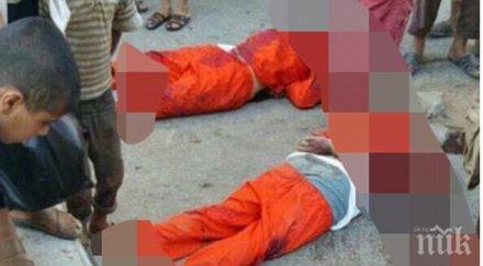 терористите брюксел париж получавали социални помощи докато подготвяли атаките