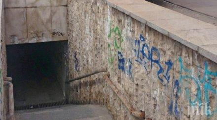 младежи ремонтират доброволно подлезите столицата