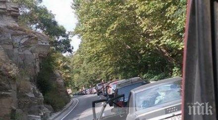 безумна тапа пътя бачково шофьор изригна овце сме