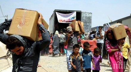 сащ приели 8000 сирийски бежанци октомври миналата година
