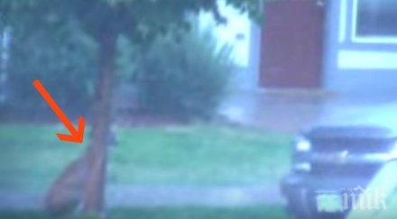 тропическата буря ърл остави хил души без ток мексико